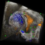 Exploring Innovations in Biomedical Imaging and Battery Technology