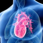 New Study Reveals 56 Modifiable Risk Factors for Sudden Cardiac Arrest