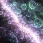 Ancient Protein Defies Biological Rules by Operating in a Mirror World—A Discovery That Could Rewrite Molecular Science