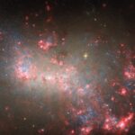 Stellar Fireworks in a Tiny Galaxy: Webb and Hubble Unite to Illuminate Starburst Secrets