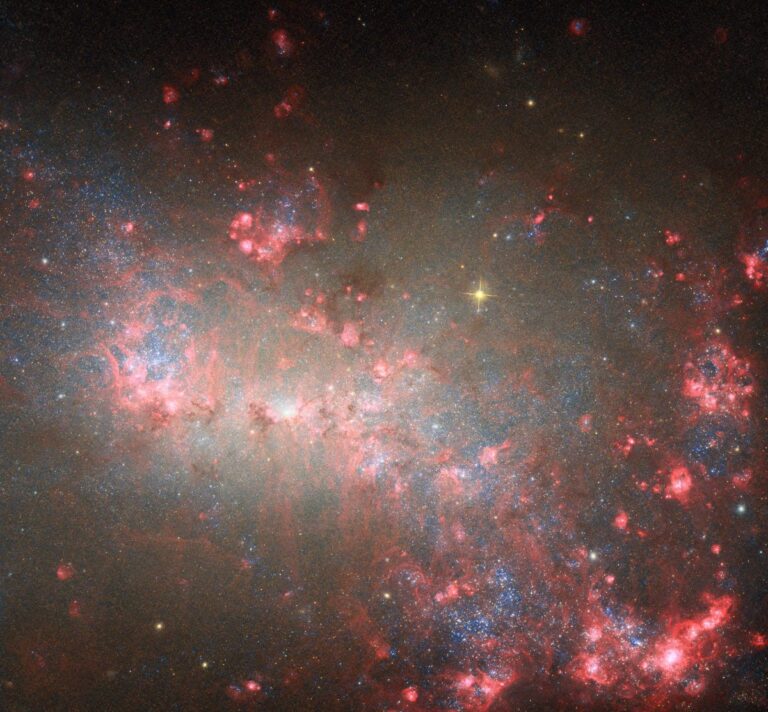 Stellar Fireworks in a Tiny Galaxy: Webb and Hubble Unite to Illuminate Starburst Secrets