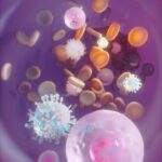 No More Transplants? New Gene Therapy Targets Blood Stem Cells Directly