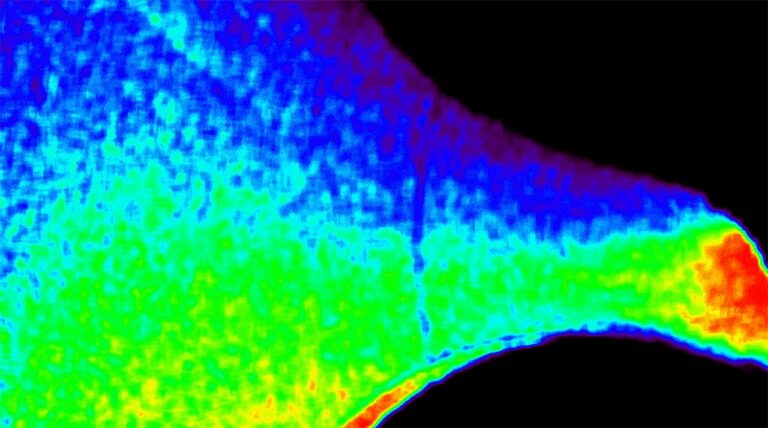 NASA’s CODEX Unveils the Sun’s Fiery Secrets With Stunning New Solar Wind Images