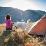 Digital Detox: How Unplugging Is Becoming the New Lifestyle Trend