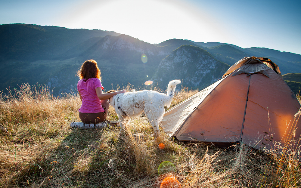 Digital Detox: How Unplugging Is Becoming the New Lifestyle Trend