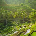 Top travel destinations in 2026: best places to visit for unforgettable experiences around the world