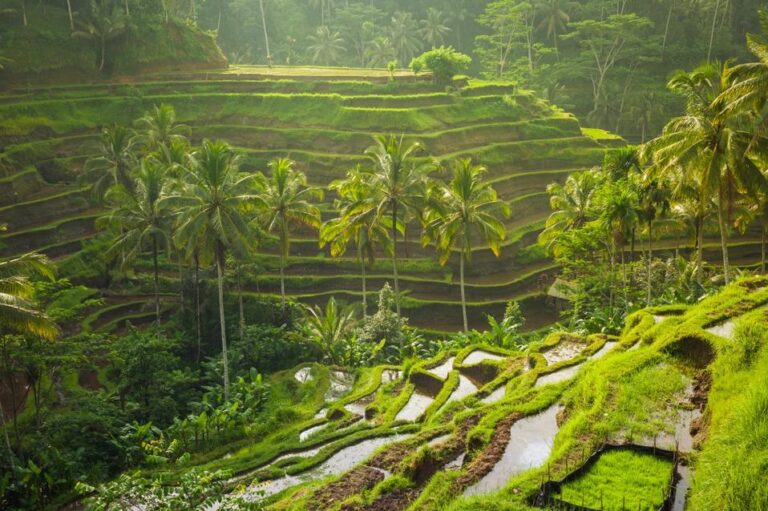 Top travel destinations in 2026: best places to visit for unforgettable experiences around the world