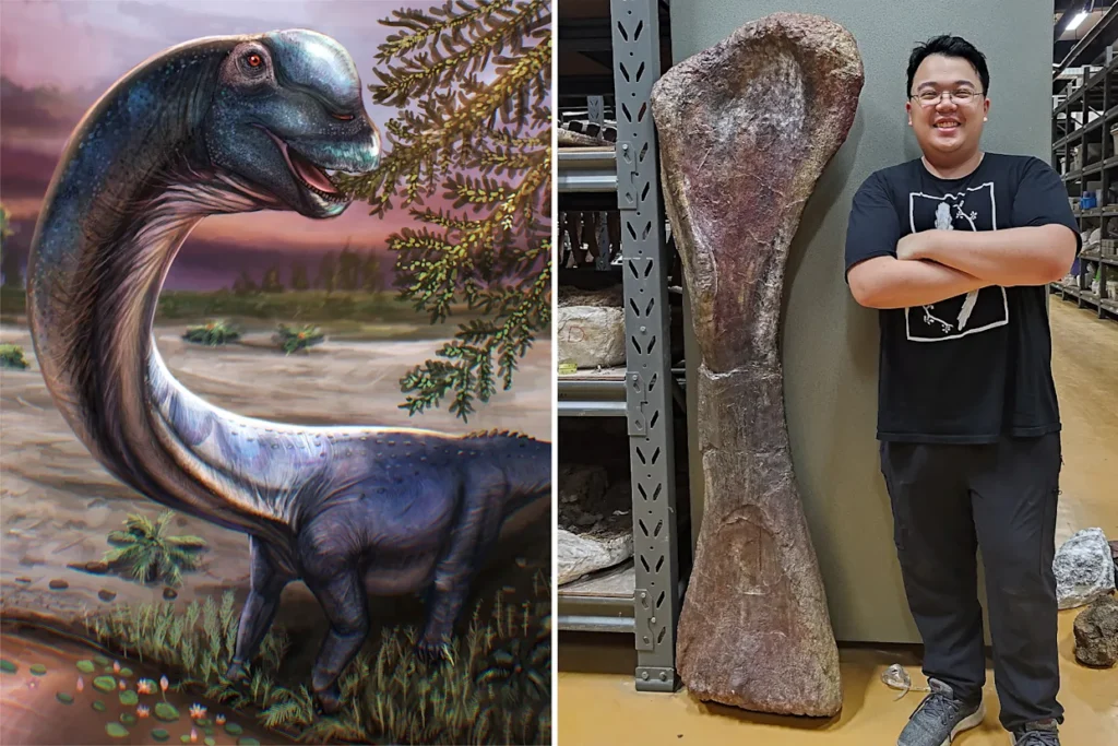 Scientists Name New Giant Dinosaur “Nagatitan chaiyaphumensis” Discovered in Thailand