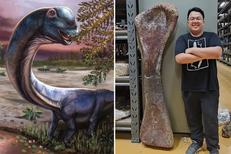 Scientists Name New Giant Dinosaur “Nagatitan chaiyaphumensis” Discovered in Thailand
