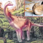 Antarctica’s First Dinosaur Bone Confirmed After 40 Years of Misidentification
