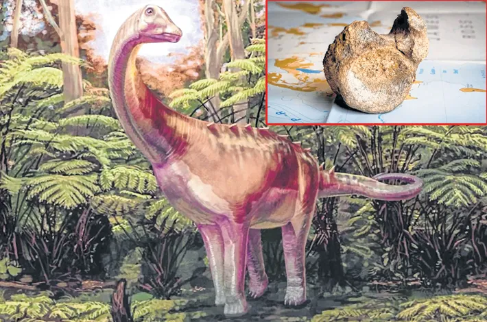 Antarctica’s First Dinosaur Bone Confirmed After 40 Years of Misidentification