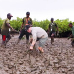Canadian Environmentalist Sets Guinness World Record by Planting 47,460 Trees in 24 Hours in Kenya