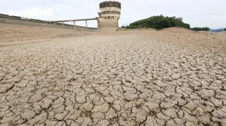 Powerful El Niño Emerges, Raising Global Concerns Over Extreme Weather and Food Security
