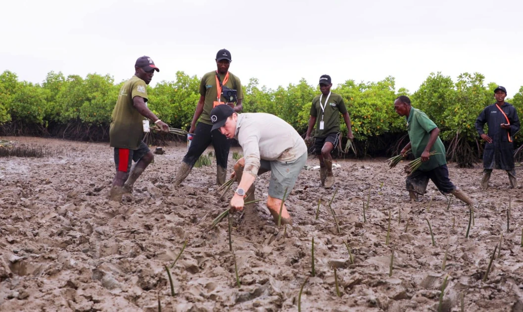 Canadian Environmentalist Sets Guinness World Record by Planting 47,460 Trees in 24 Hours in Kenya