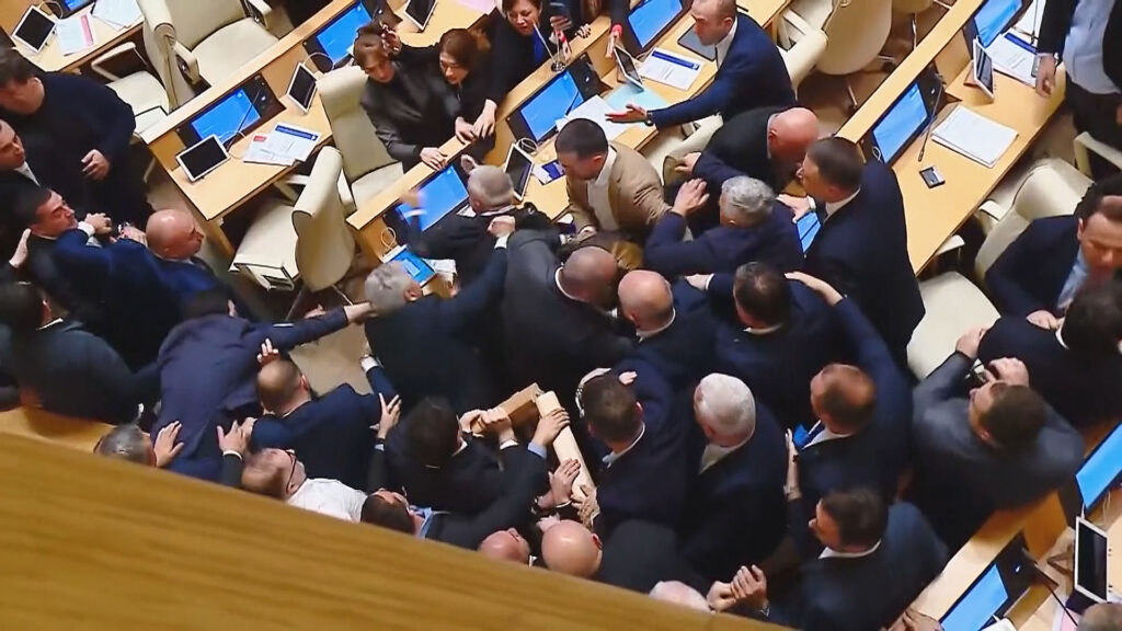 Fistfight Erupts in Georgia’s Parliament as Prime Minister Presents Annual Government Report