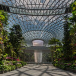 Inside Changi: How Singapore Built the World’s Most Seamless Airport Experience