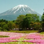 Japan Faces Cooling Tourism Demand as Rising Costs and Regional Shifts Reshape Asian Travel Trends