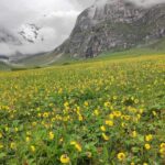 Api Himal Base Camp: Nepal’s Hidden Trekking Paradise Awaits Adventure Seekers