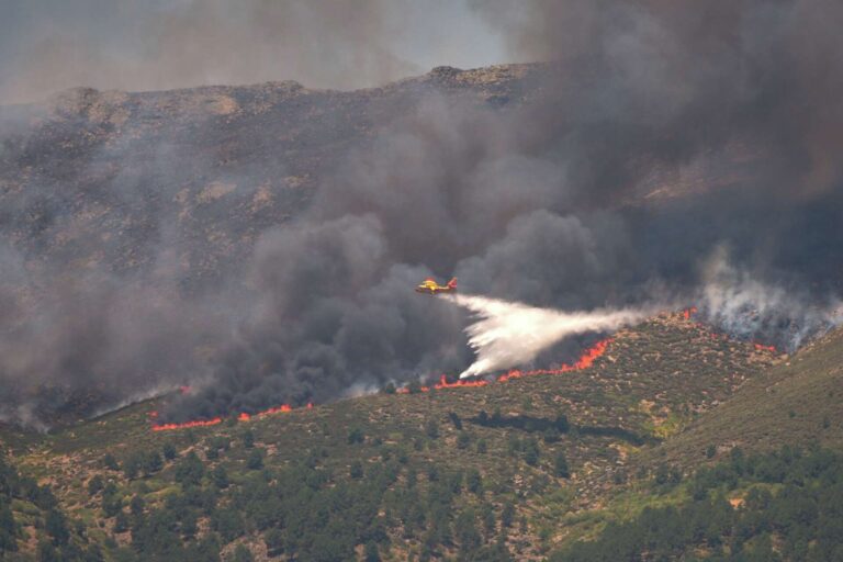 More Than 220,000 Evacuated as Massive Wildfires Sweep France and Spain