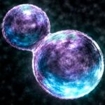 Scientists Create ‘SpudCell’, a Simple Artificial Cell That Can Grow and Divide