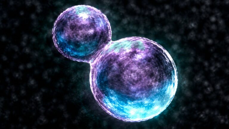 Scientists Create ‘SpudCell’, a Simple Artificial Cell That Can Grow and Divide