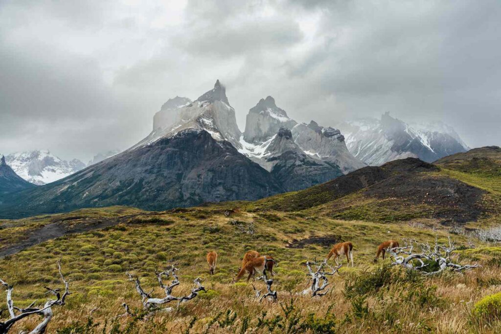 Patagonia Emerges as a Dream Destination for Adventure Travelers Seeking Nature at Its Wildest