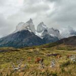 Patagonia Emerges as a Dream Destination for Adventure Travelers Seeking Nature at Its Wildest