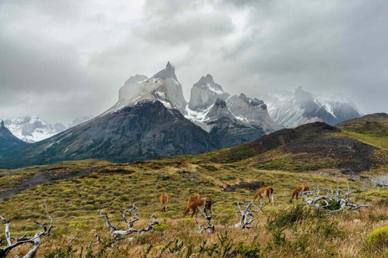Patagonia Emerges as a Dream Destination for Adventure Travelers Seeking Nature at Its Wildest