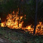 Wildfires Ease Near Bordeaux and Madrid, but Greece Battles New Flames