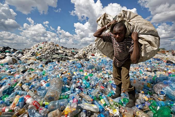 The Plastic in Your Everyday Life May Be Hiding a Serious Health Risk, New Report Warns
