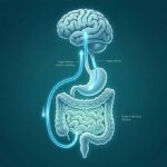 The Hidden Health Story Inside Your Gut: Why Your Daily Habits Matter More Than You Think
